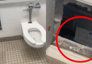 Phát hiện phòng bí mật trong nhà vệ sinh của trường, thanh niên có ngay video hơn 30 triệu lượt xem cùng trải nghiệm